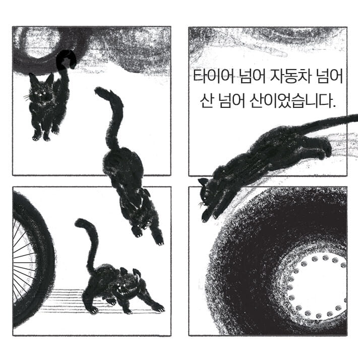 카드뉴스3