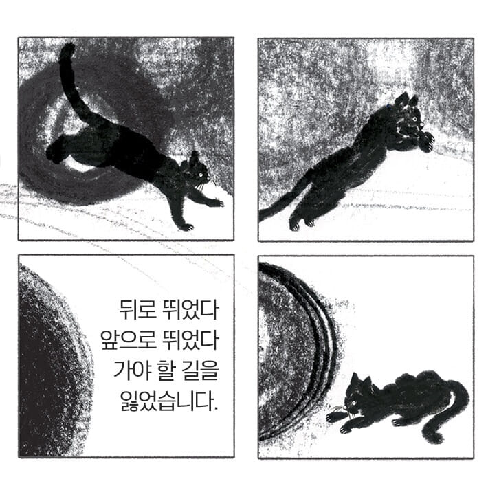 카드뉴스4
