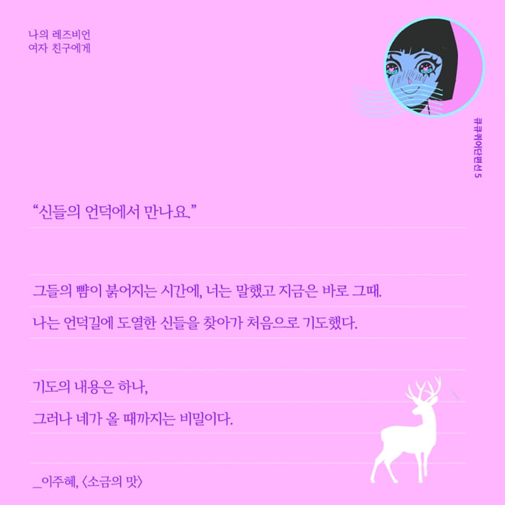 카드뉴스11