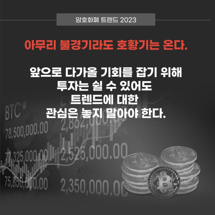 카드뉴스15