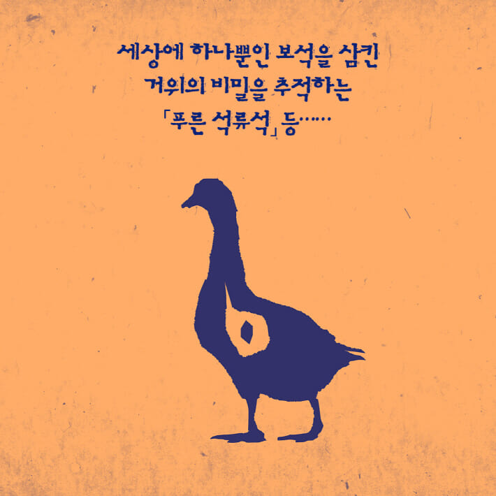 카드뉴스9