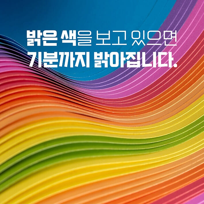 카드뉴스0