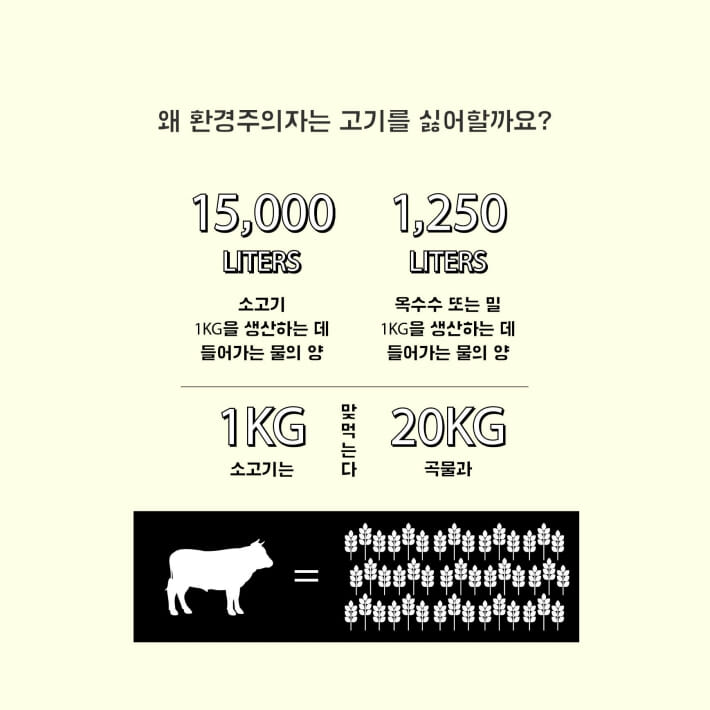 카드뉴스3
