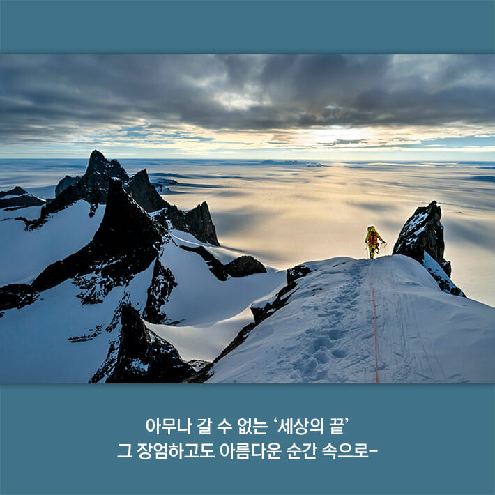 카드뉴스4