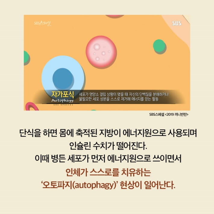 카드뉴스6