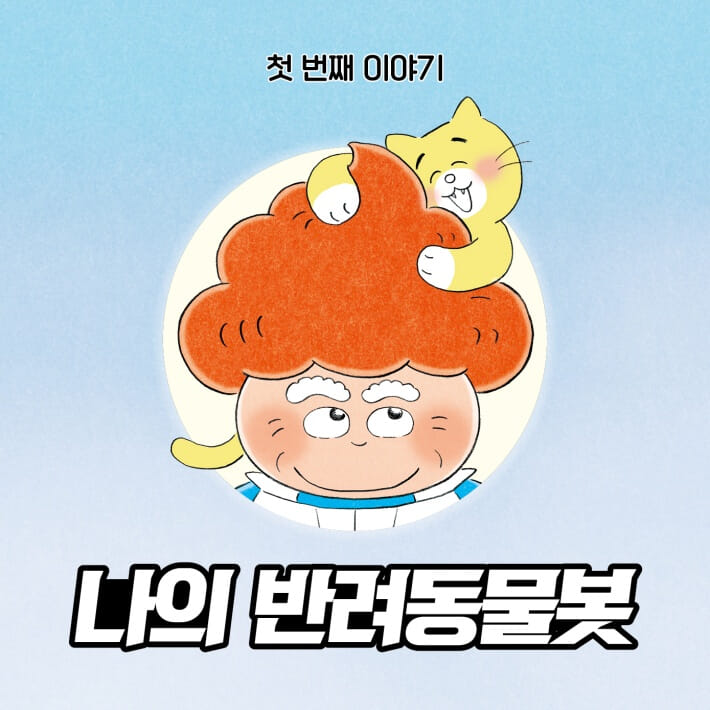 카드뉴스3
