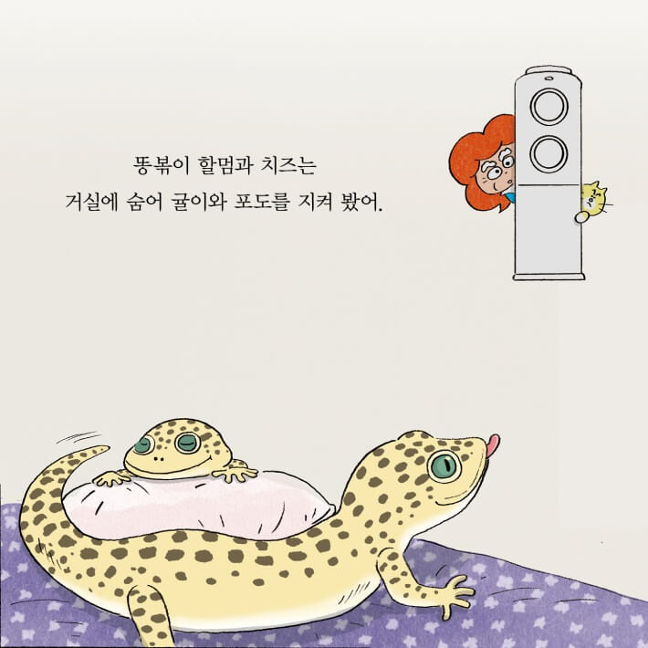 카드뉴스10