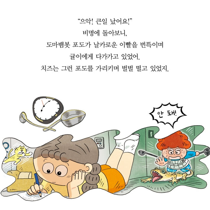 카드뉴스13