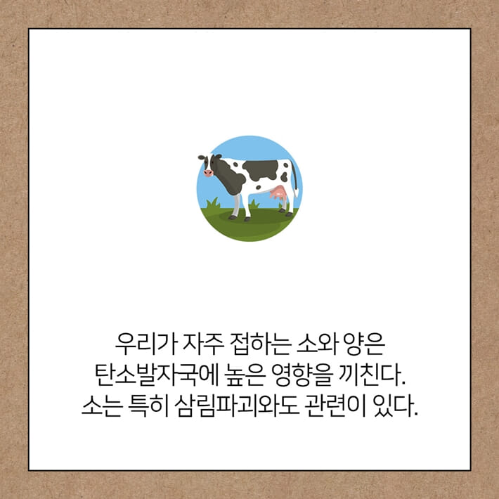 카드뉴스3
