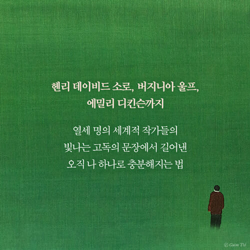 카드뉴스7