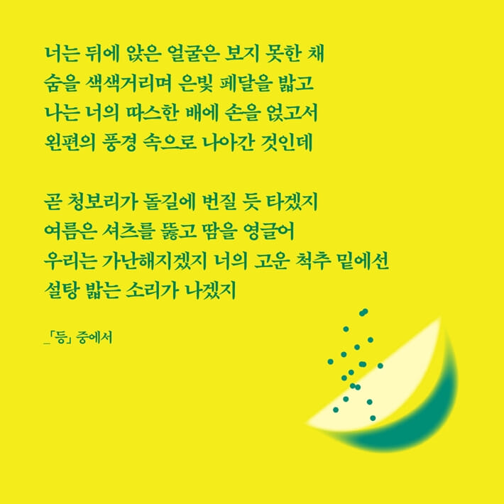 카드뉴스4