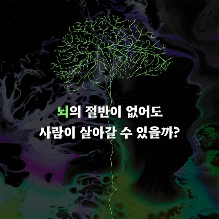 카드뉴스0