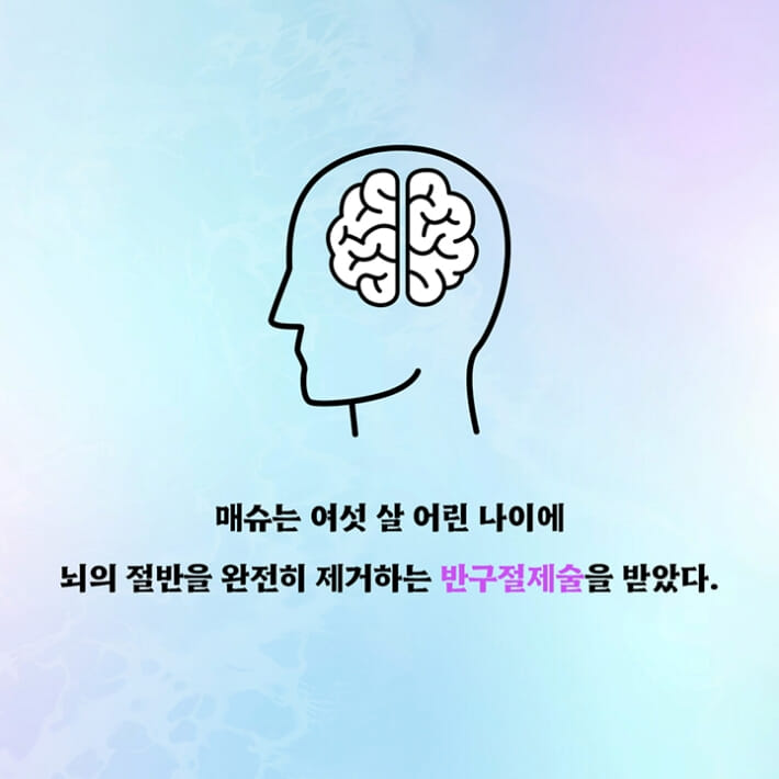 카드뉴스1