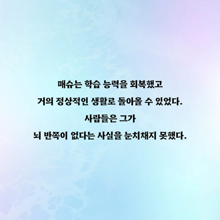 카드뉴스4