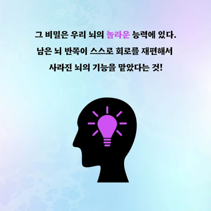 카드뉴스5