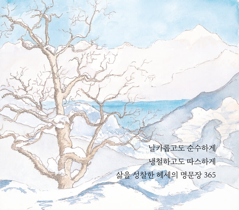 카드뉴스2
