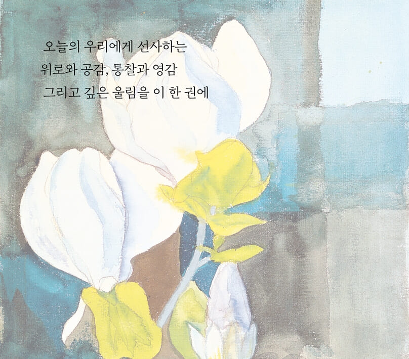 카드뉴스3