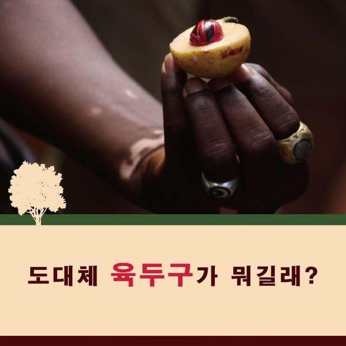 카드뉴스1