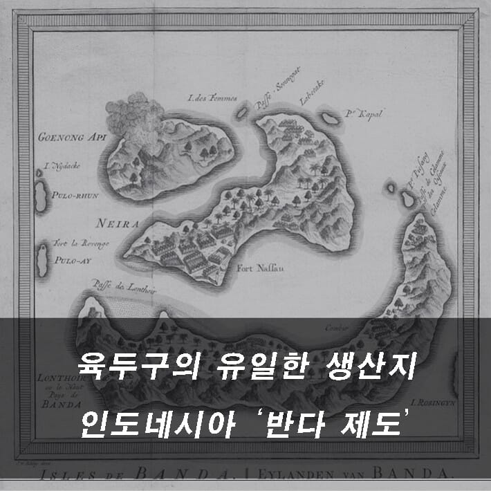 카드뉴스2