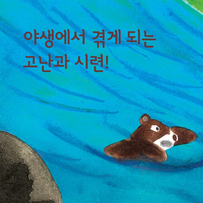 카드뉴스3