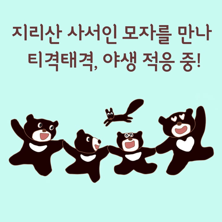 카드뉴스4
