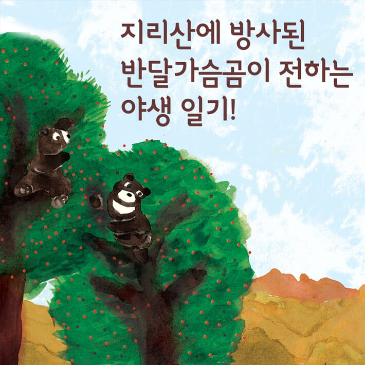 카드뉴스5
