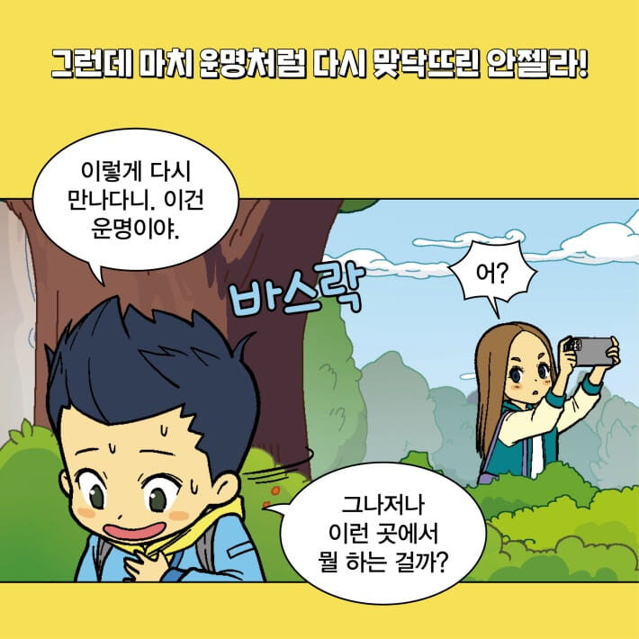 카드뉴스2