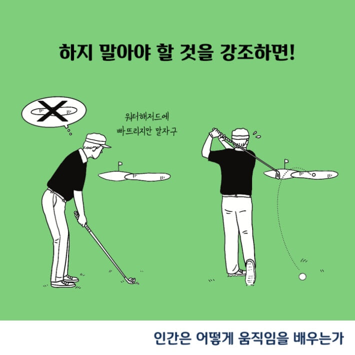 카드뉴스12