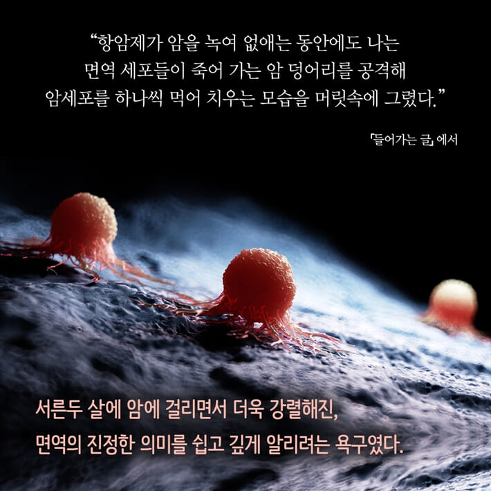 카드뉴스6