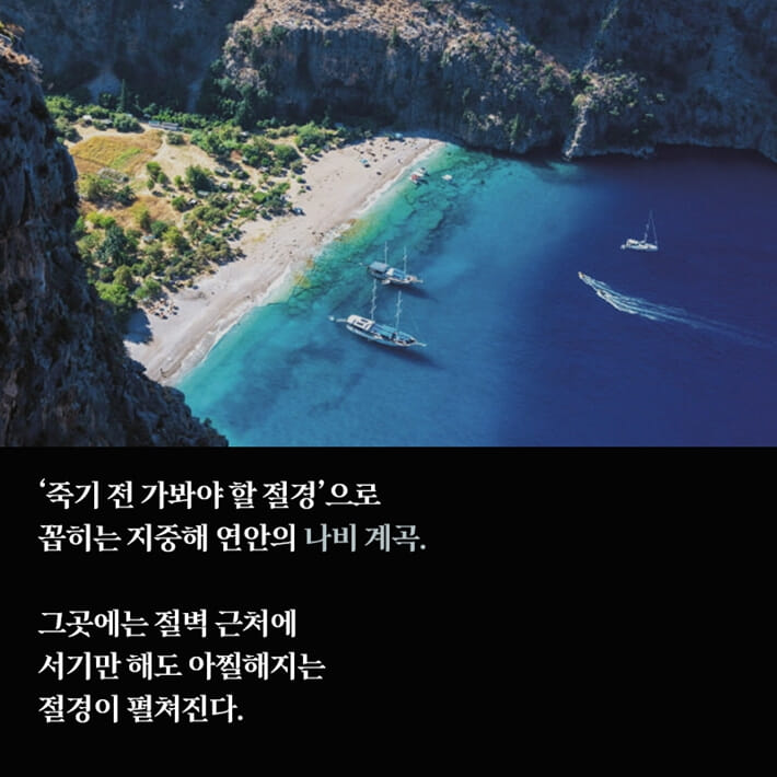 카드뉴스1