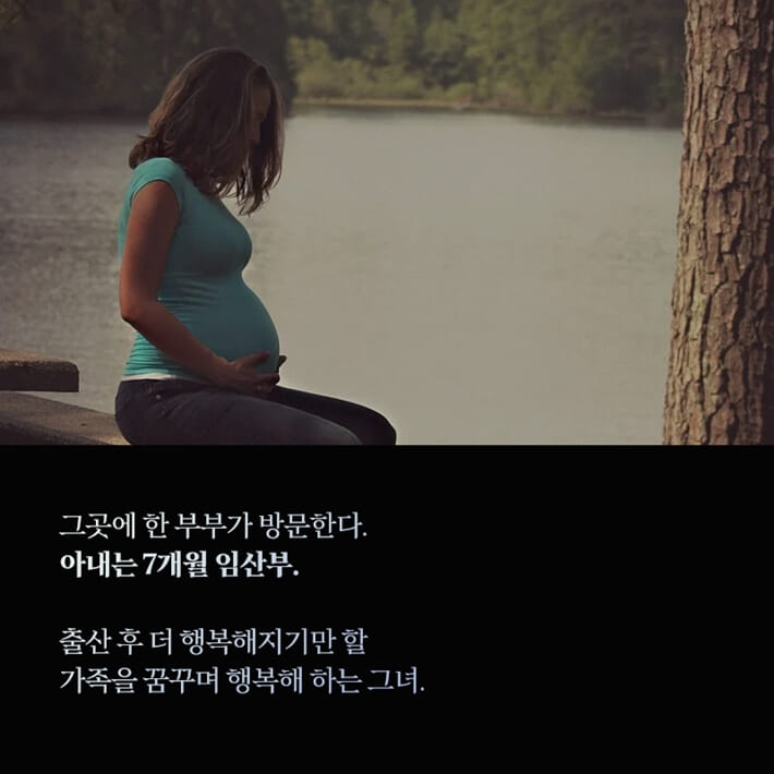 카드뉴스2