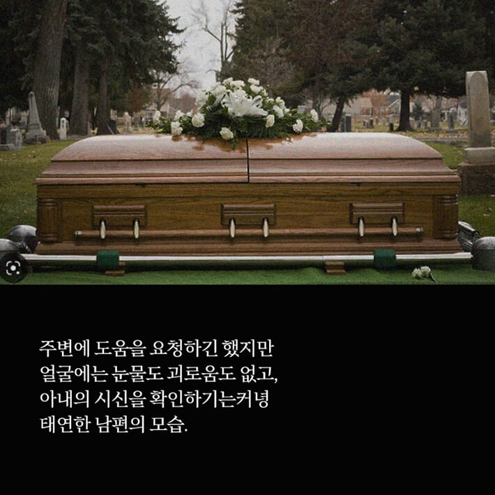 카드뉴스4