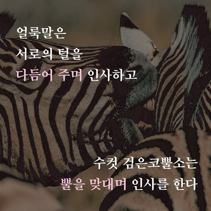 카드뉴스0
