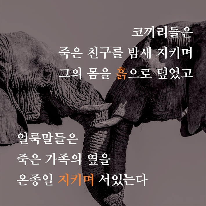 카드뉴스1