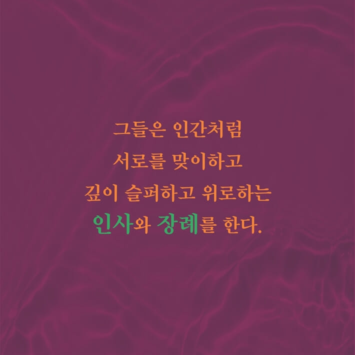 카드뉴스2