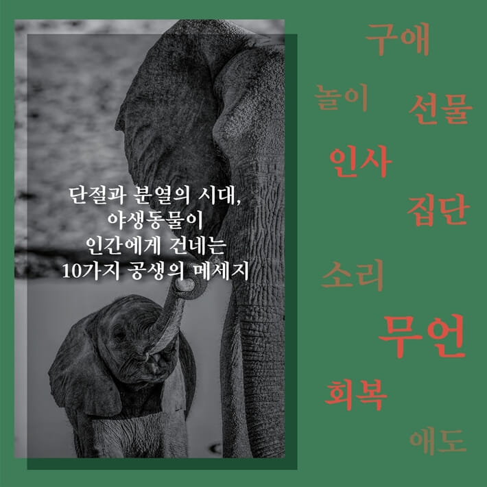 카드뉴스4