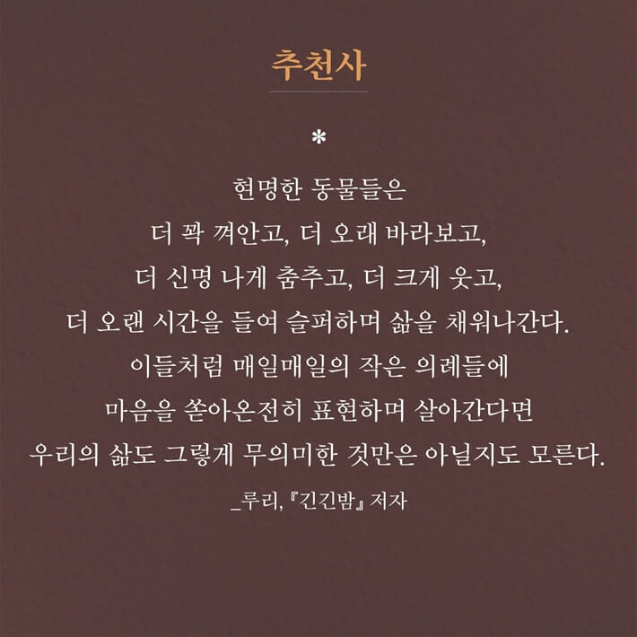 카드뉴스6