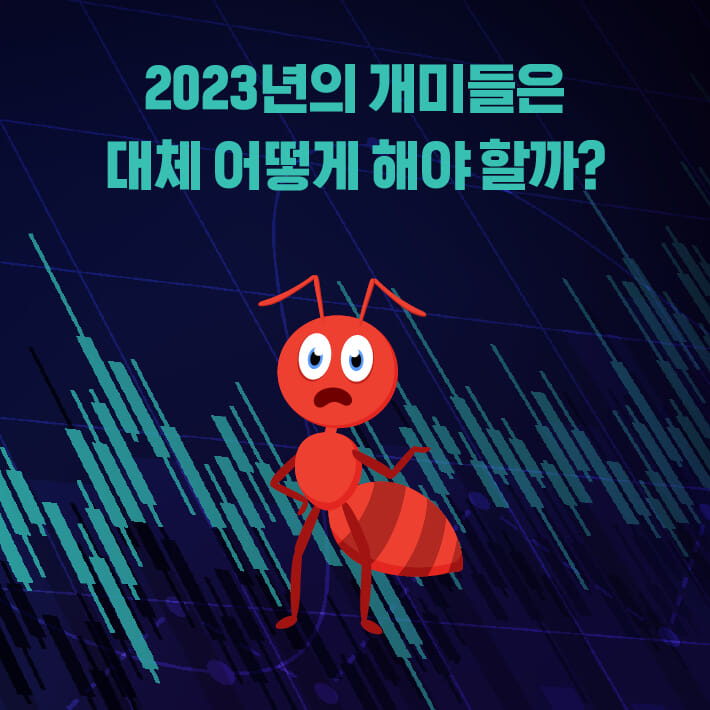 카드뉴스2