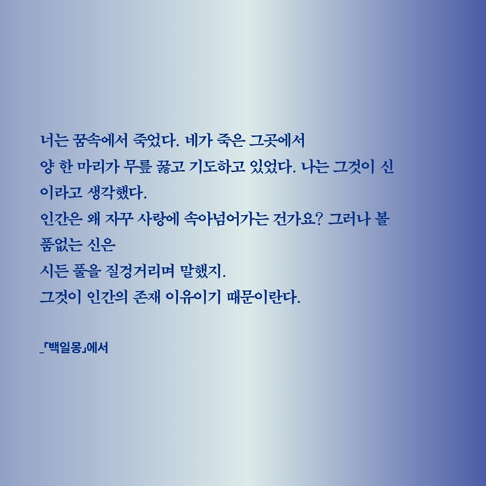카드뉴스5