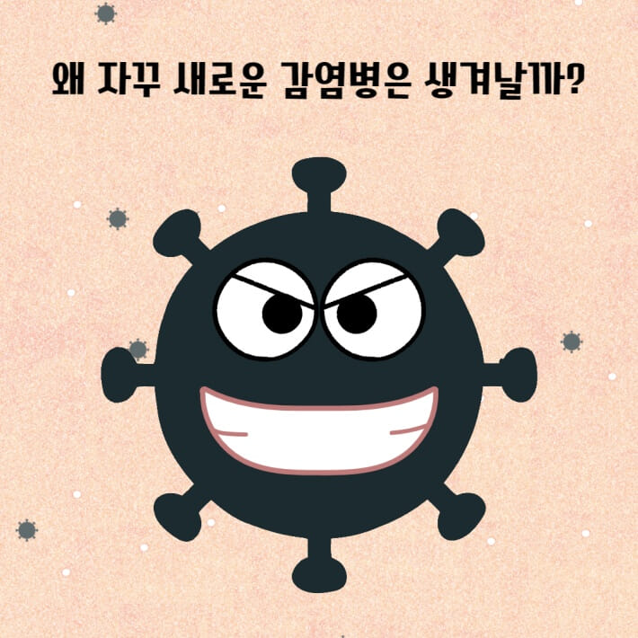 카드뉴스0