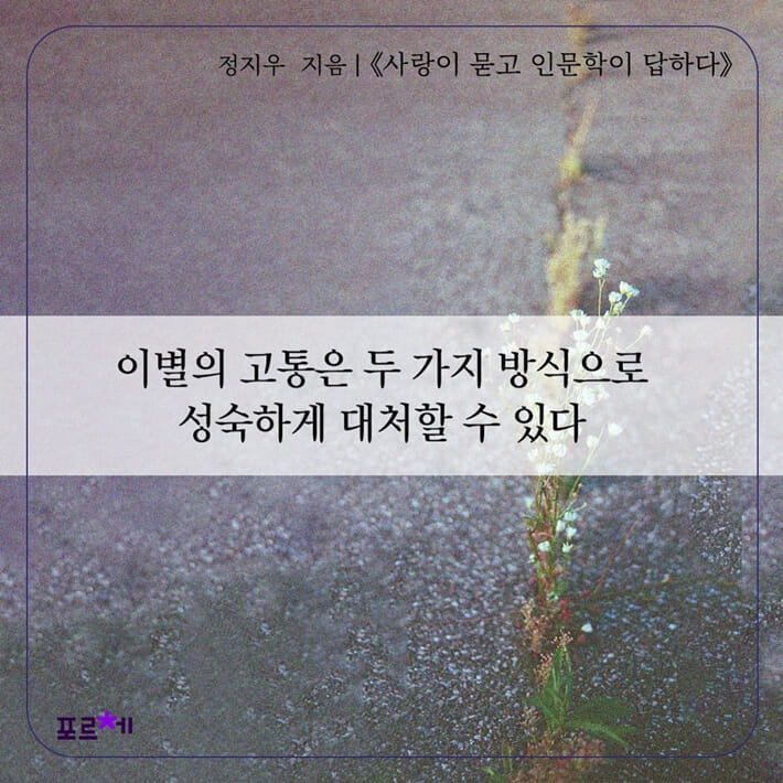 카드뉴스2
