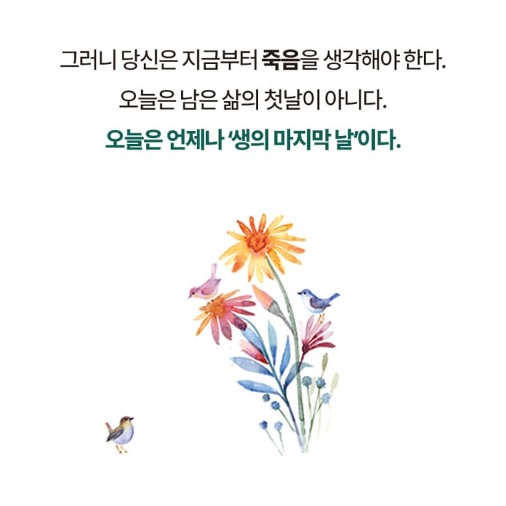 카드뉴스5