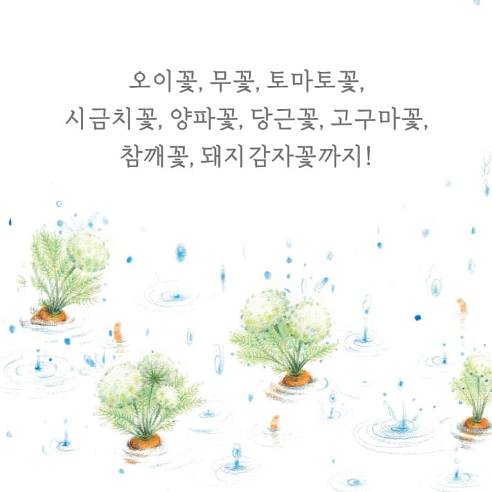 카드뉴스3