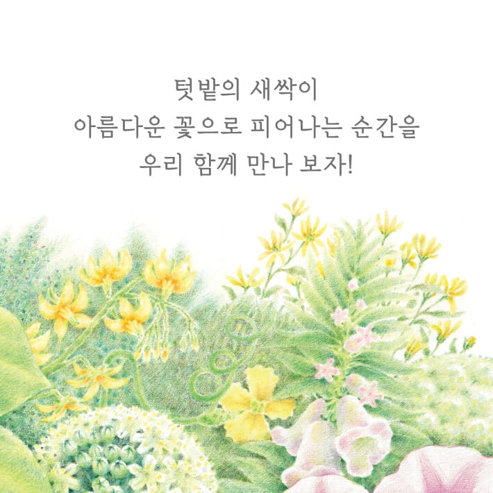 카드뉴스4