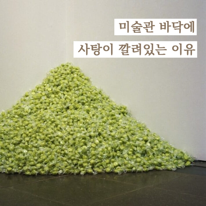 카드뉴스0
