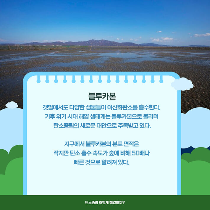 카드뉴스6