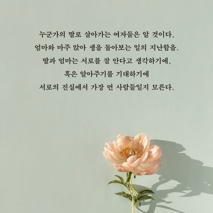 카드뉴스3