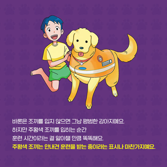 카드뉴스0
