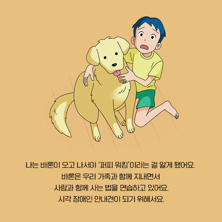 카드뉴스4