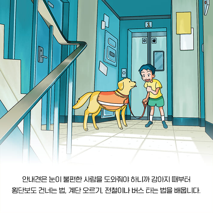 카드뉴스5